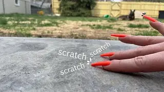 ASMR: Concrete scratches, Outside ASMR on a sunny day - Tapping & scratching around