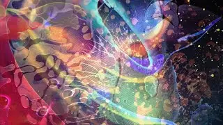 warm chills  -  on mirth mountain (w/ the Liquid Crystal Display) full length
