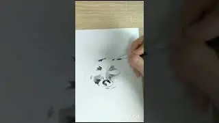 Как нарисовать енота