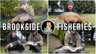Brookside Fisheries - On The Bank! - Ep.3