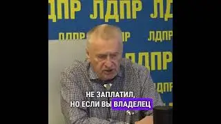 У Жириновского часто спрашивают, где-же выгоднее всего купить скины для CS, а он... (NewТикток мем)