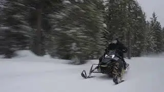 2024 Sidewinder SRX LE EPS