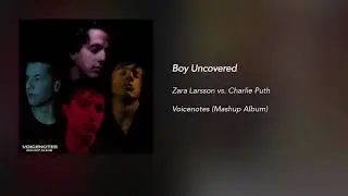 Boy Uncovered (Mashup) - Zara Larsson x Charlie Puth