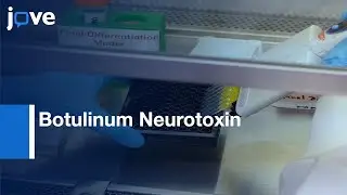 Botulinum Neurotoxin Inhibitors Identification by Imaging Assay | Protocol Preview