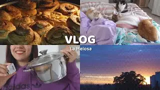muy señora, muy influencer (vlog)