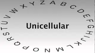 SAT Vocabulary Words and Definitions — Unicellular