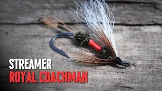 Royal Coachman Streamer, Classic Fly Pattern for Steelhead and Salmon