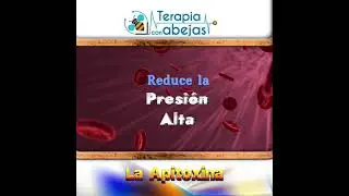 𝗘𝗹 𝘃𝗲𝗻𝗲𝗻𝗼 𝗱𝗲 𝗹𝗮 𝗮𝗯𝗲𝗷𝗮 - Apitoxina