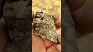 Де колись були скіфи.#shorts