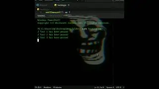 How to look like a hacker || coding || 