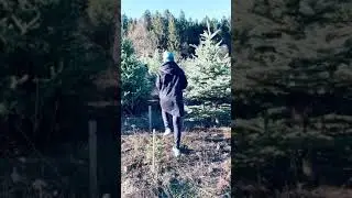 Novoletna Jelka_2021