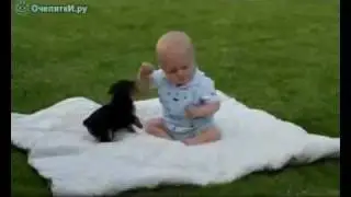 ДРУЗЬЯ!!! ПОЗИТИВНЫЙ РОЛИК !!!!!!