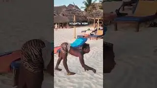 A man who can walk like a beast!