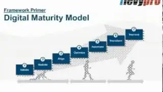 Digital Maturity Model