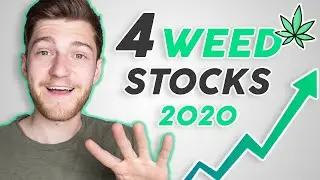 Top 4 Cannabis Stocks to WATCH 2020 | Q2 Analysis - Stock Market Investing