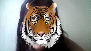 Movavi Video Editor.Замена лица другим лицом: Маска тигра на лице