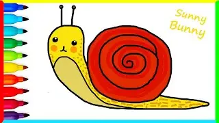 Drawing and coloring Snail 🐌- Drawings for kids | Sunny and Bunny Draws