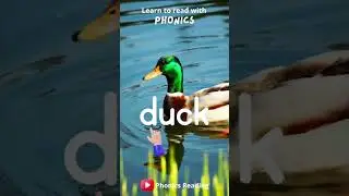Pond Duck #Phonics #shorts