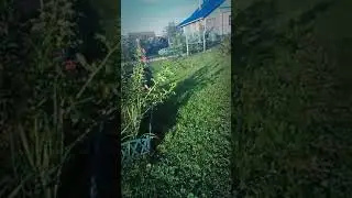 В Деревне Сасовского района