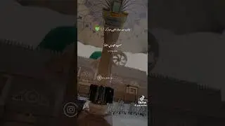 Eid millad ul nabi video credit on yass writes #standwithplastine #subcribemychannel #viralshorts