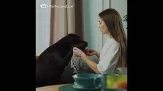 Промо-ролики Nekmar