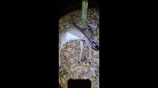 My First NC deer! This was my Black Friday!