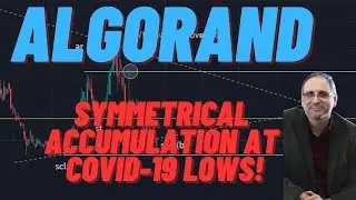 Algorand: Institutional Accumulation at Covid-19 Lows! SEC Drops Lawsuit #algorand #algo