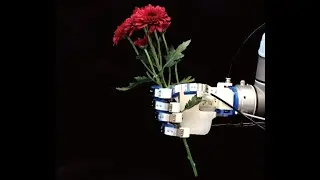 “Single-Motor Ultraflexible Robotic (SMUFR) Humanoid Hand” published on IEEE T-MRB