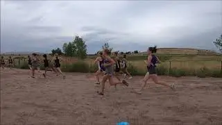 The Dash 2020