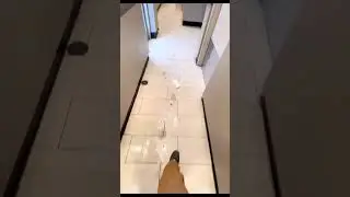 Это пи..ец!!!Зашел в Канаде в очередной общепит!!!Да культурный запад не перестает удивлять😂#cuaet
