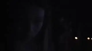 Завораживающее зрелище в Ожившем парке