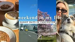 🌞 sunny weekend in Vancouver vlog 💛