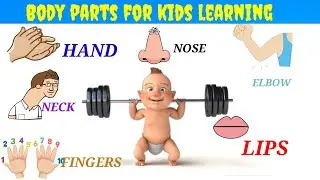 Learn Body Parts - Fun Educational Videos for Kids