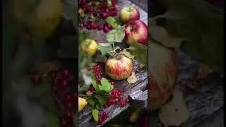 С Преображением Господнем!