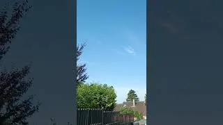 Бойные голуби. Игра.