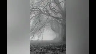 Герус С - Отношение  ( Lana Blue )