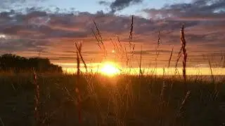 Ой, люлі, люлі, налетіли гулі