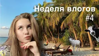 Неделя влогов23/ 4 день/ деревня