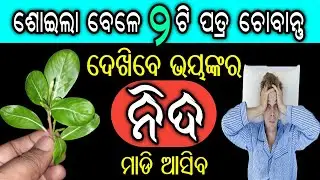 ଶୋଇଲା ବେଳେ ଏହାର ୨ଟି ପତ୍ର ଚୋବାନ୍ତୁ, ଭୟଙ୍କର ନିଦ ମାଡି ଆସିବ | Home Remedies to Fall Asleep Quickly
