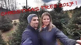 We got our Christmas tree!