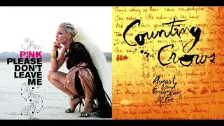 Please don't accidentally fall in love (Mashup) - P!nk & Counting Crowns