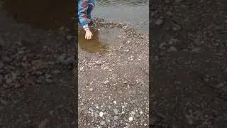 Прогулка речка камни Вагит