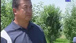 Chiroqchi tuman Xokimni Tadbirkor sutga berdi