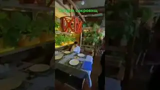 Фергана кафе " Остров сокровищ"