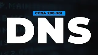 Domain Name System (DNS) | FREE CCNA 200-301 Cisco Course