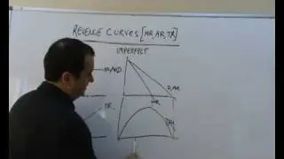 Revenue Curves for Firms