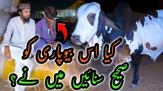 SARCASTIC BARGAINING at Sohrab Goth Cow Mandi 2022 | Bakra Eid 2022 | Cattle Market Karachi