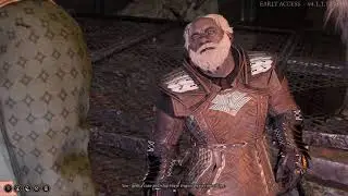 Larian Studios! Swen! The 2 things Baldur's Gate 3 really needs! Early access improvements!