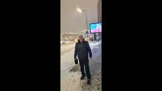 Тень пролетающей птицы. Стихи  Коников  Михаил