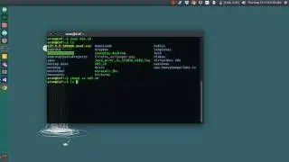 Execute shell script in ubuntu from anywhere - Ex: Md5 hash